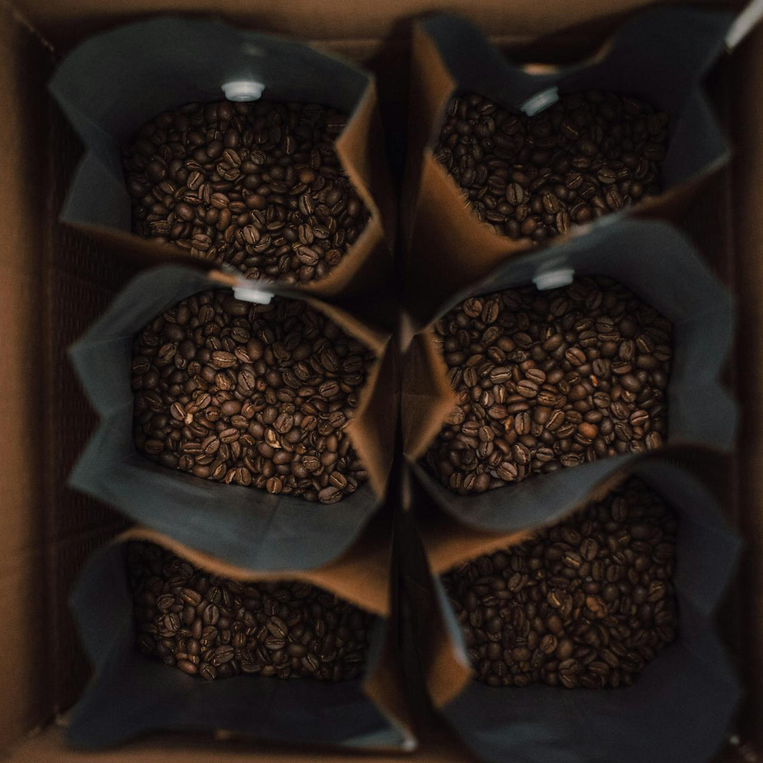 Why Bulk Coffee Bean Bags Became the Best-Selling Product at Stockup Coffee?