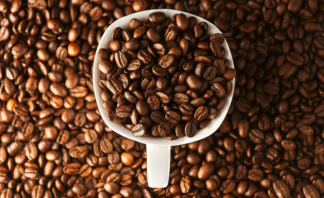 What Is Robusta Coffee? Definition, Flavor & Uses