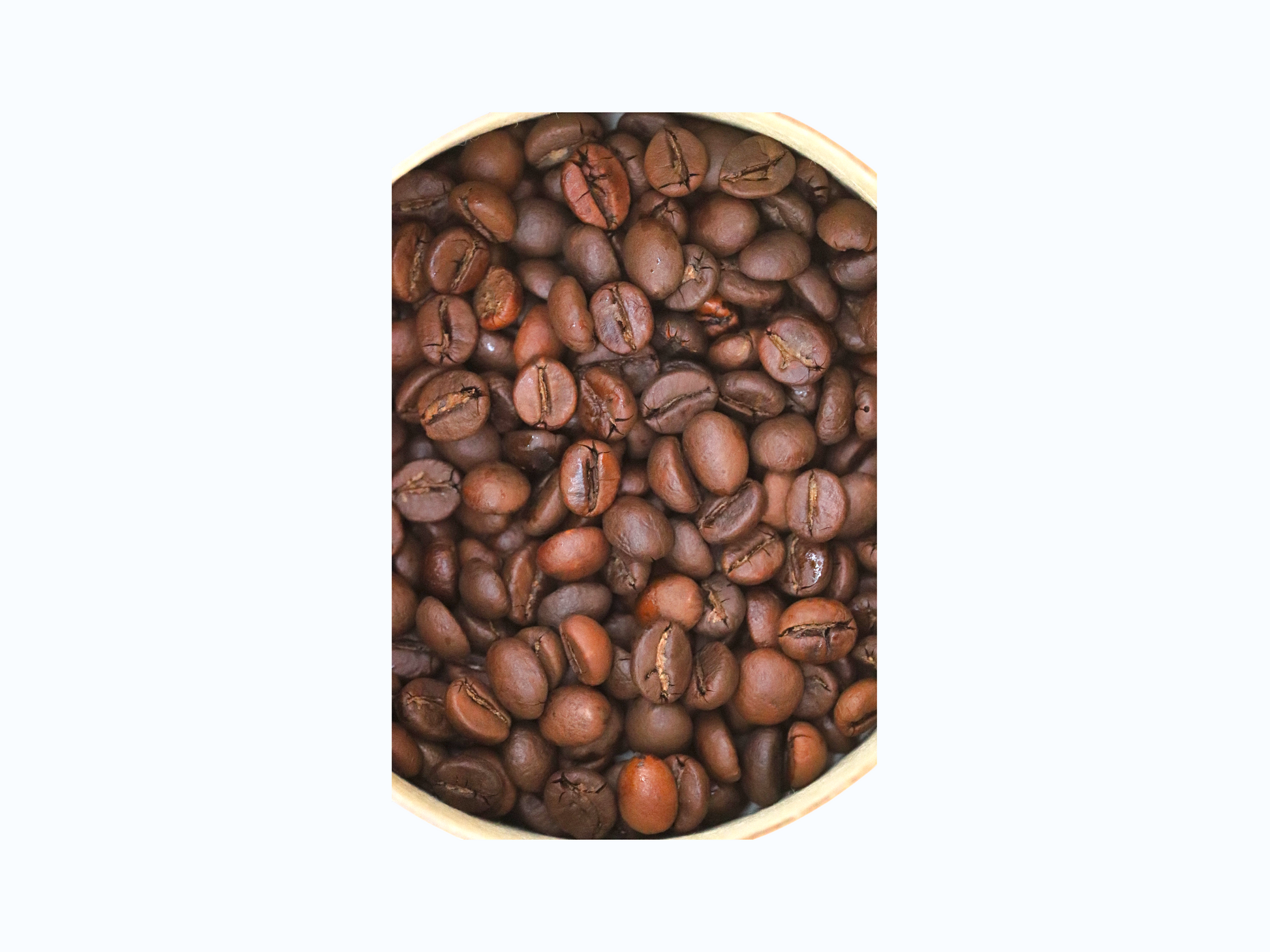 Robusta Medium & Dark Roast Coffee – Smooth for Filter and Pour