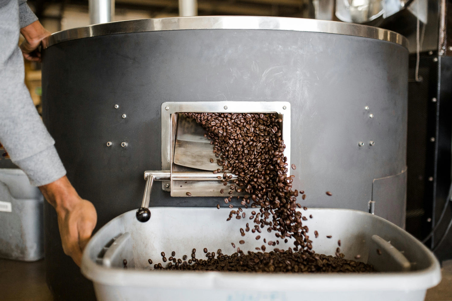 Coffee beans being poured from a roasting machine into a container.